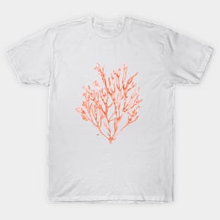 Coral seaweed illustration T-Shirt